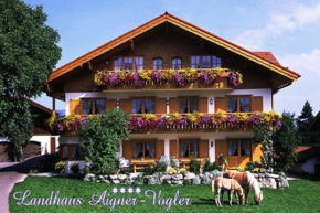  Landhaus Aigner-Vogler  Фишен-Им-Альгой